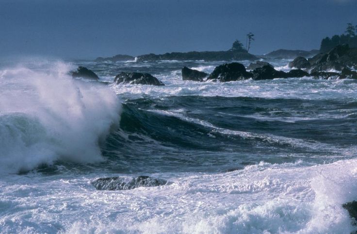 Surfing at Ucluelet, British Columbia, Canada