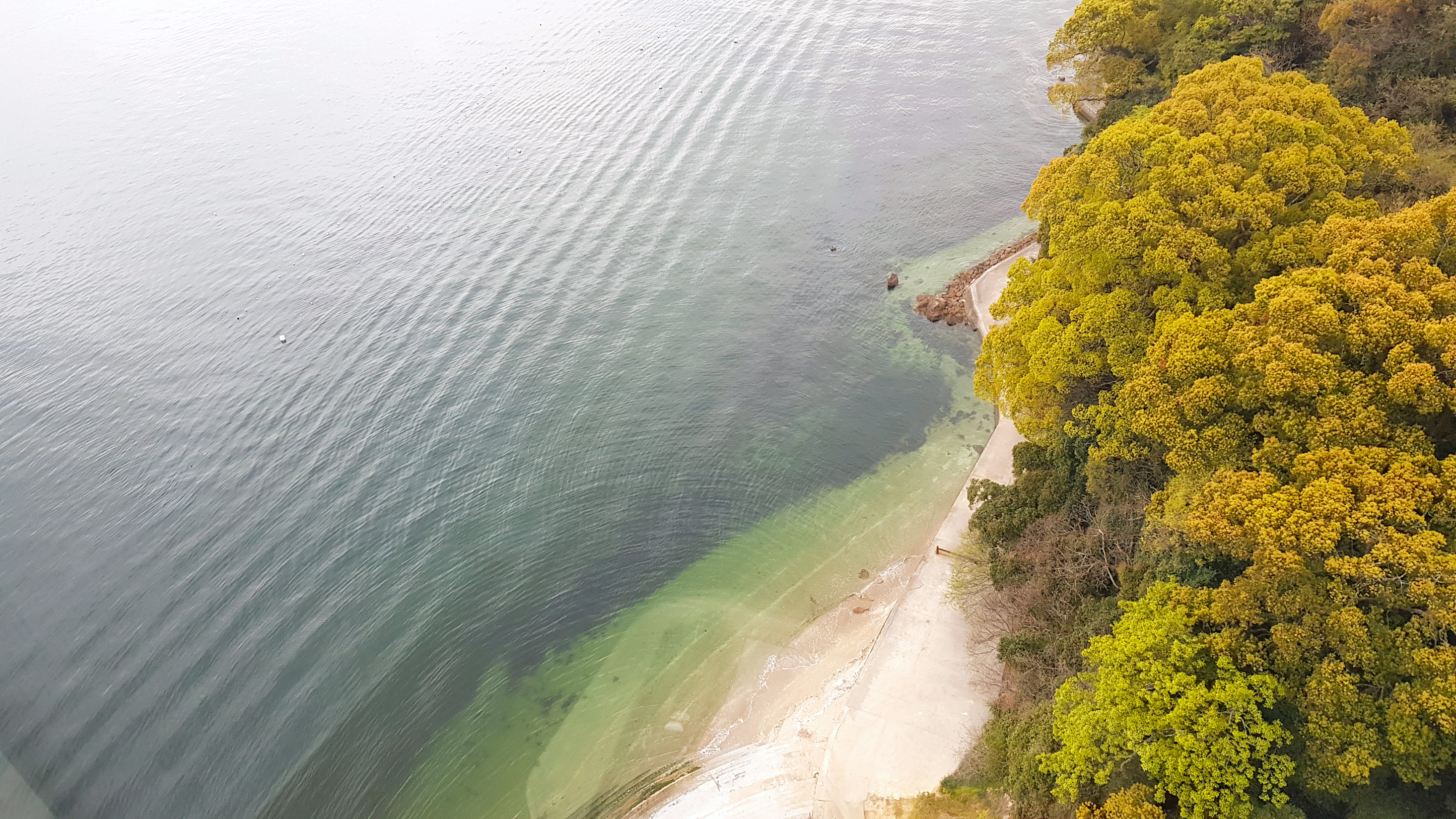 Surfing at Ise (Shima), Mie, Japan